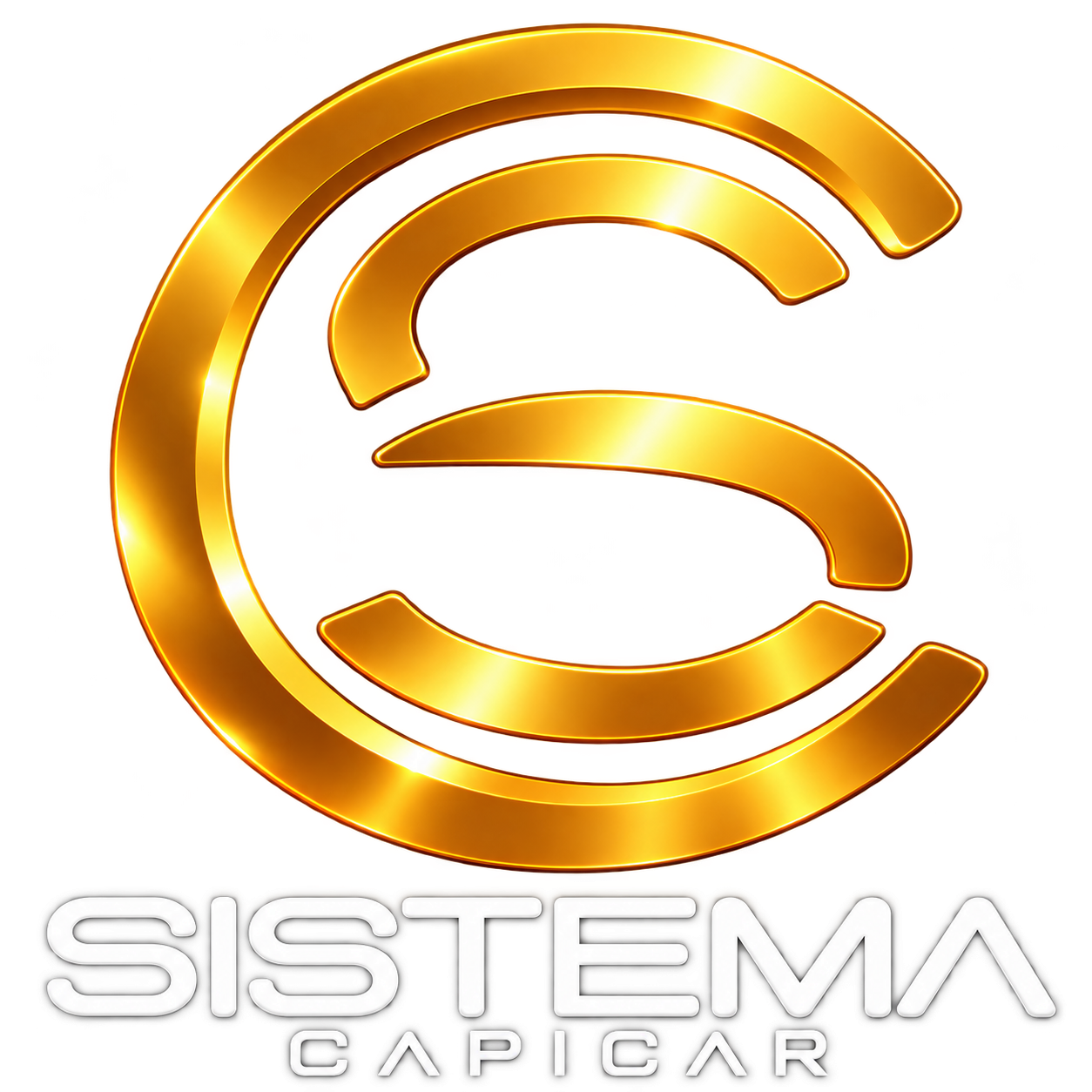 Sistema Capilar