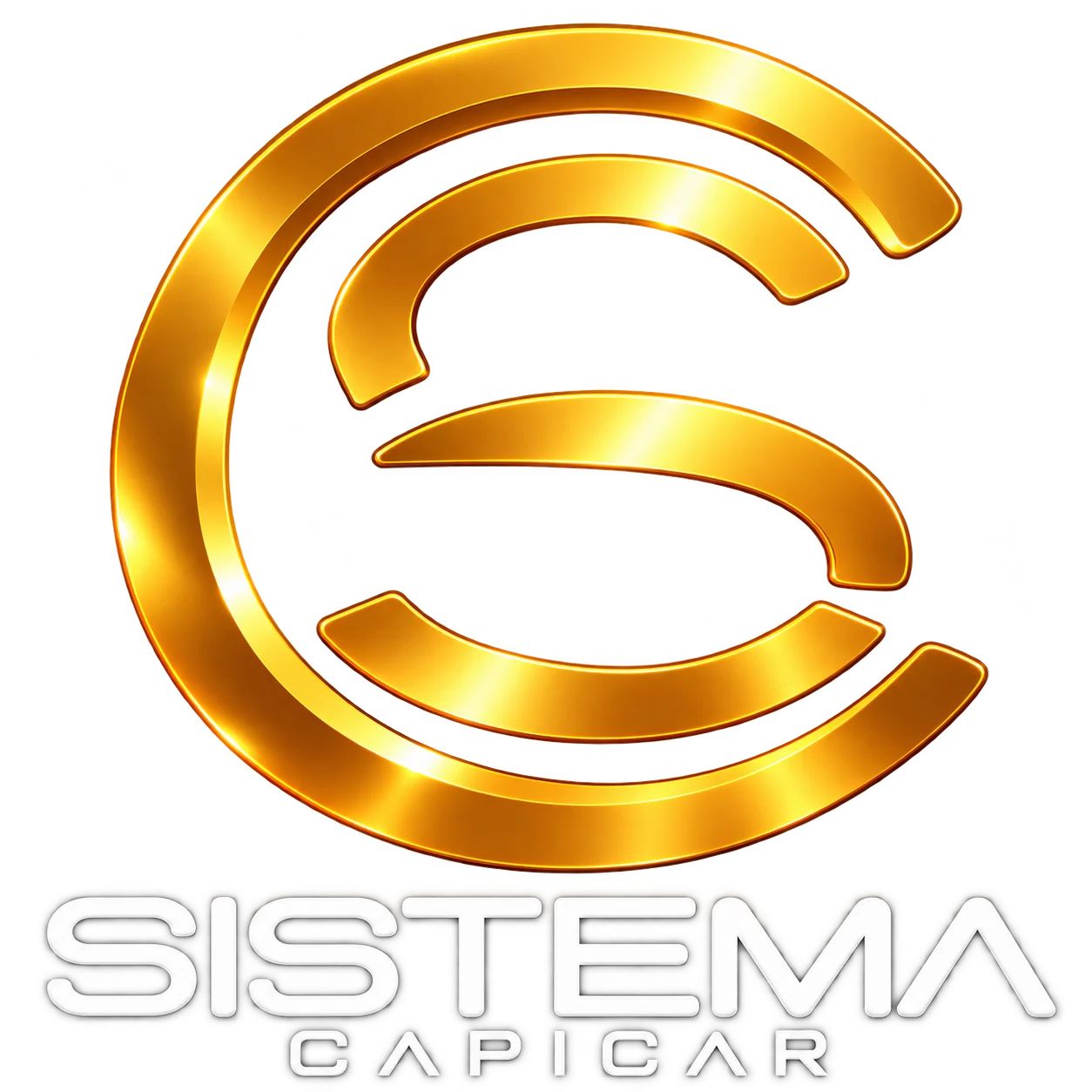 Sistema Capilar